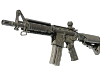 M4A4 Faded Zebra